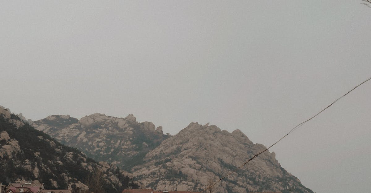 Camperdown, New South Wales