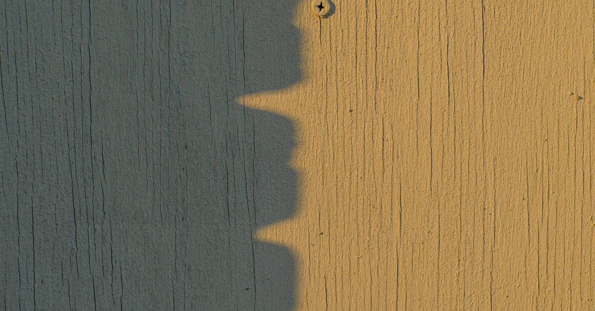 Maitland, New South Wales