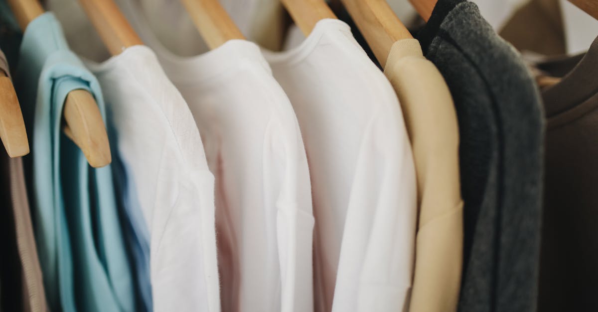 Mortdale, New South Wales