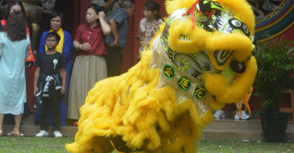 Review of Eco-Friendly Materials for Custom Wardrobes