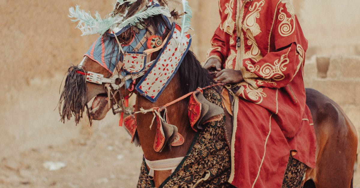 Review: Pros and Cons of Different Custom Wardrobe Styles