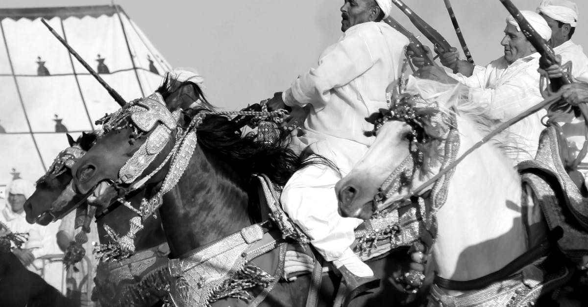 Round-Up of Essential Accessories for Custom Wardrobes