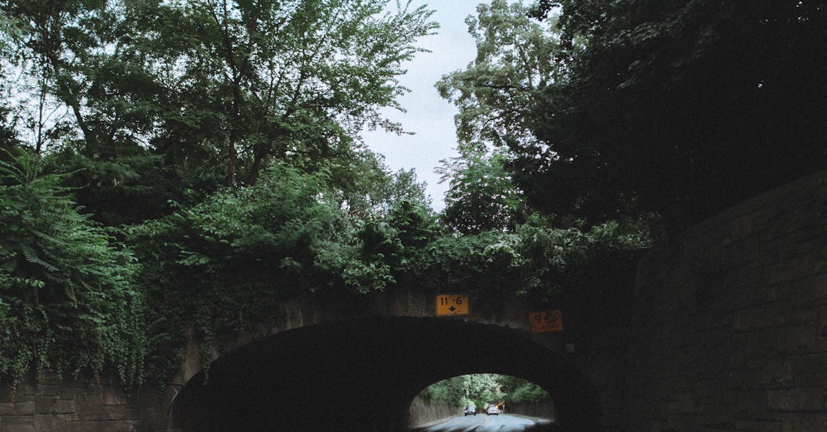 What are the Latest Trends in Built-In Wardrobes?