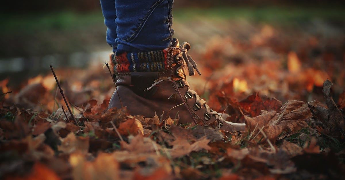 What is the new look for kitchens in 2024?